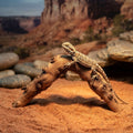 Natural Pomegranate Wood Branch for Reptile Terrarium | Climbing Driftwood Décor for Hermit Crab, Bearded Dragon & Gecko