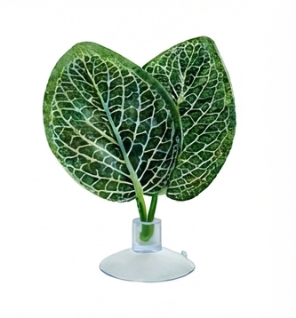 Suction Cup Faux Plant Leaves for Reptile Terrarium | Simulated Water Leaf for Lizard, Chameleon & Snake Habitat Décor