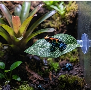 Suction Cup Faux Plant Leaves for Reptile Terrarium | Simulated Water Leaf for Lizard, Chameleon & Snake Habitat Décor