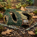 Resin Tree Stump Hide Cave for Reptiles & Fish | Realistic Wood-Look Hiding Cave for Shrimp & Aquarium Décor